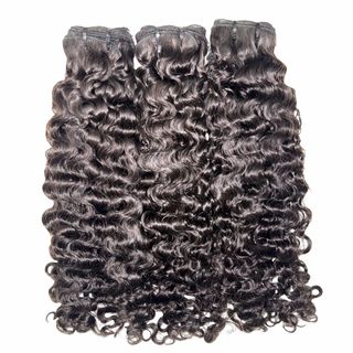 Burmese Curly