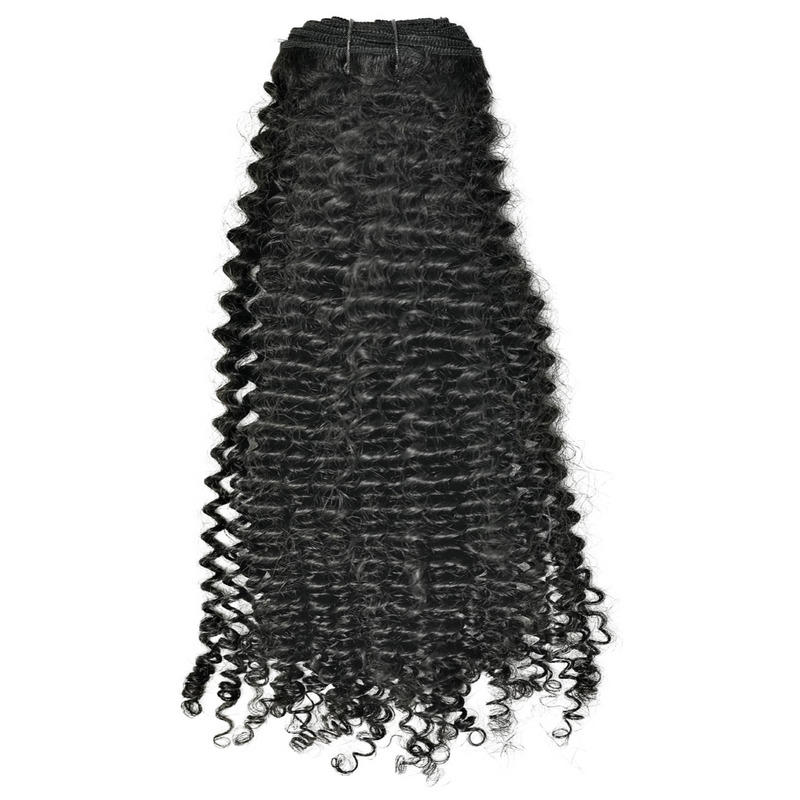 Mongolian Kinky Curly– AVH Extentions & Wigs